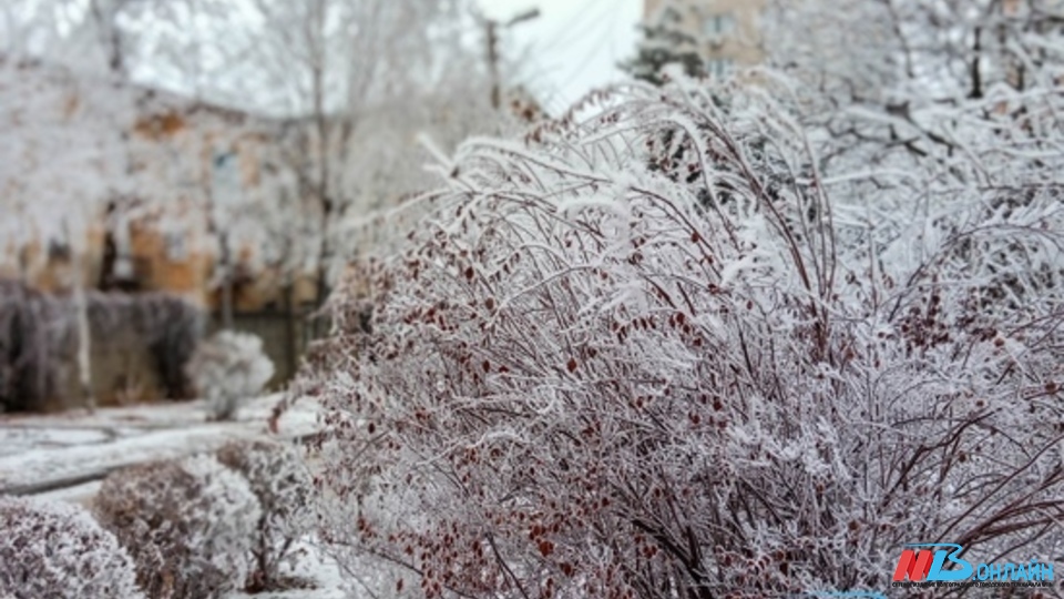 В Волгограде дворы очищают от снега по заявкам из чат-бота